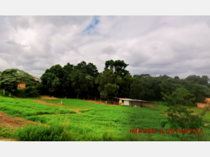 Lote 1 - IMÓVEL COM 78.571,17² EM IRATI/PR