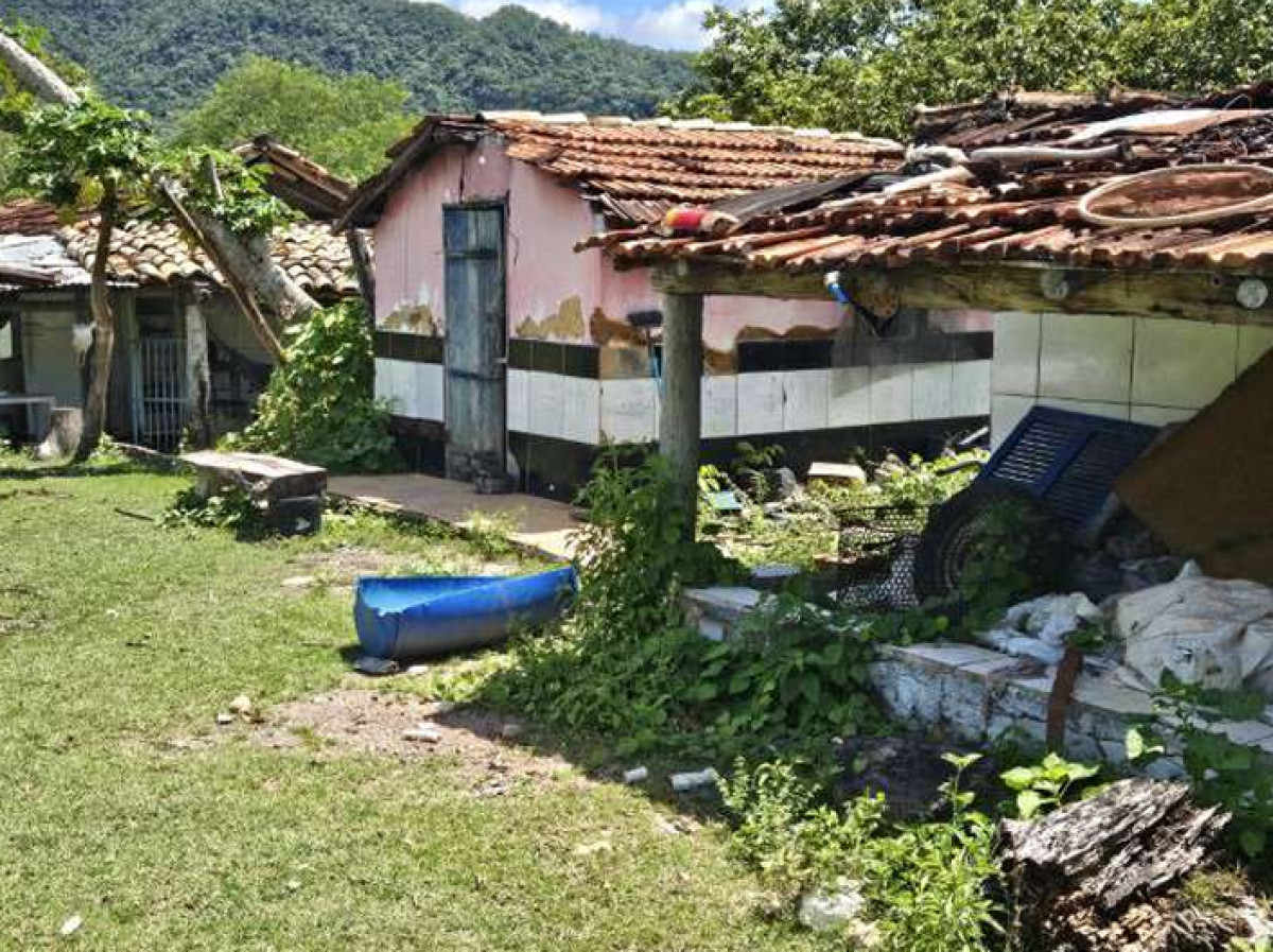 IMÓVEL RURAL EM GUARINOS/GO — foto 3
