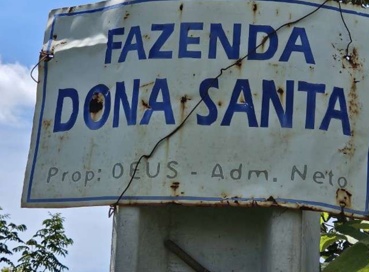 IMÓVEL RURAL EM GUARINOS/GO — foto 2
