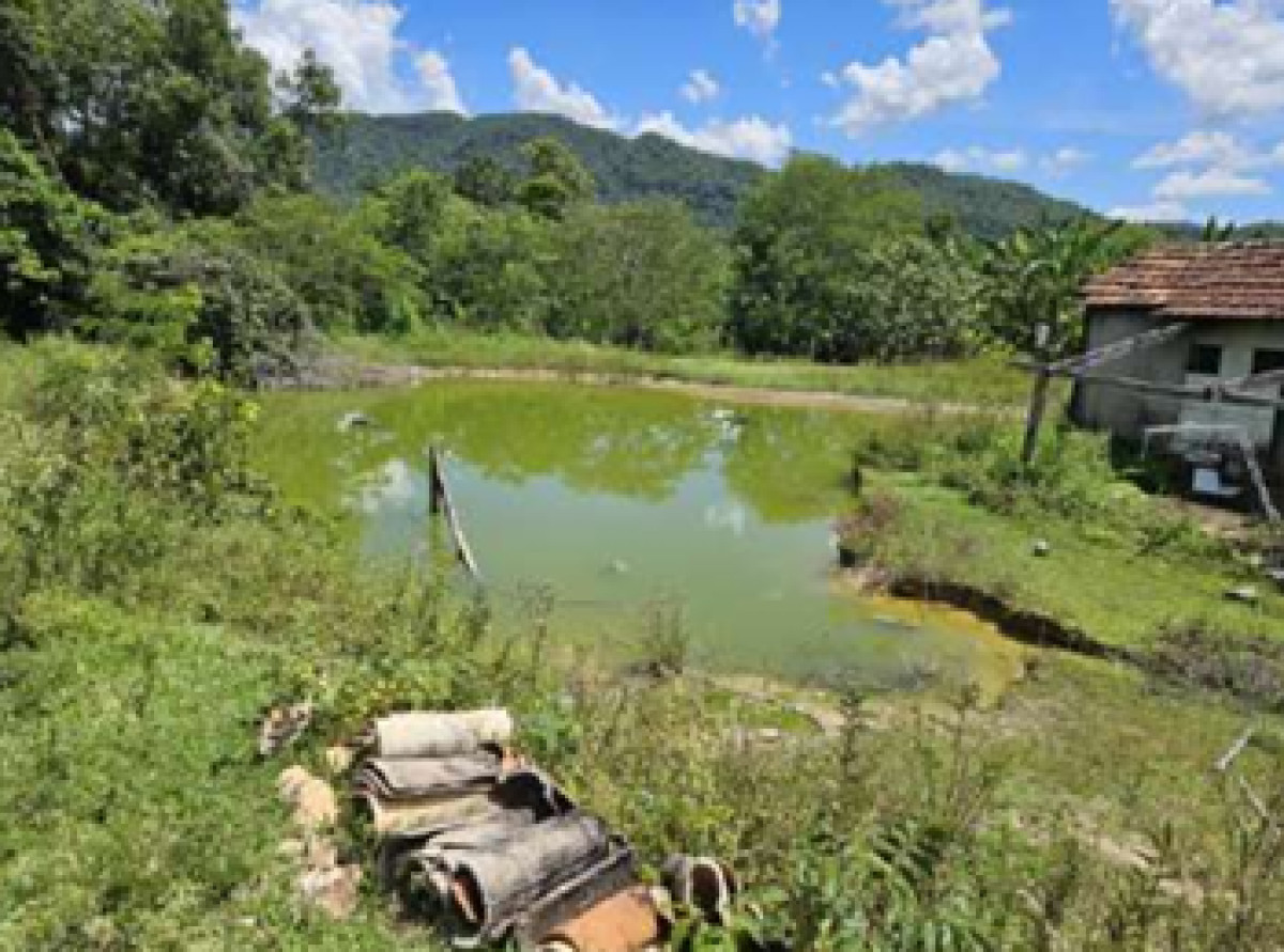 IMÓVEL RURAL EM GUARINOS/GO — foto 1