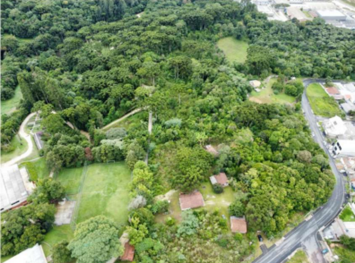 TERRENO RURAL COM CASAS — foto 4