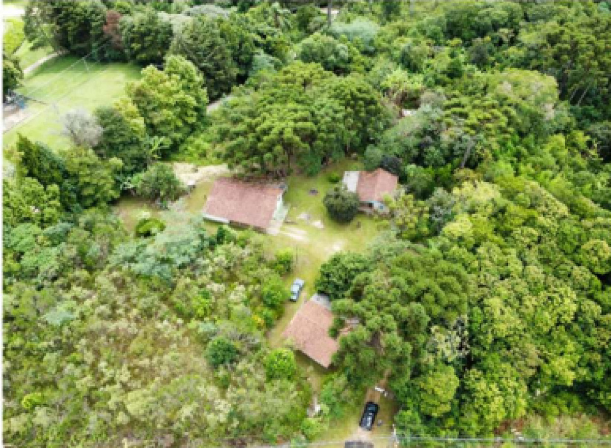 TERRENO RURAL COM CASAS — foto 5