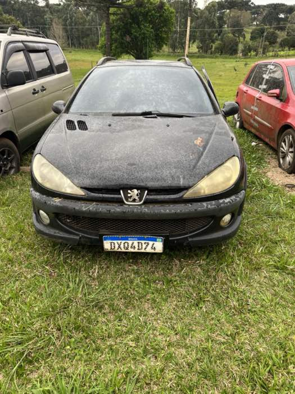 Peugeot / Modelo: 206 SW16 Esca FX / Placa: DXQ4D74