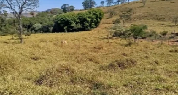 Fazenda Agua Limpa, Uma sorte de terras com área de 2,40,05 há, Rod BR- 265 em Boa Esperança — foto 1