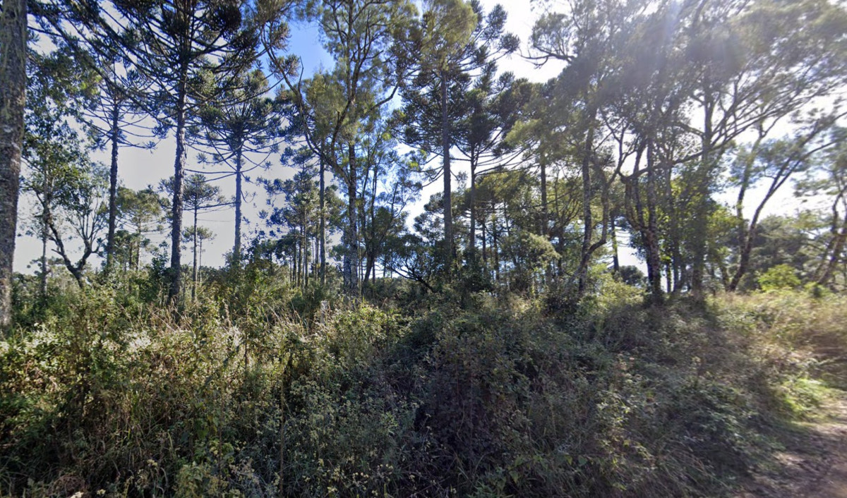 IMÓVEL RURAL NO LUGAR DENOMINADO SÃO MIGUEL, FAZENDA SÃO MANOEL, GENERAL CARNEIRO/PR — foto 2