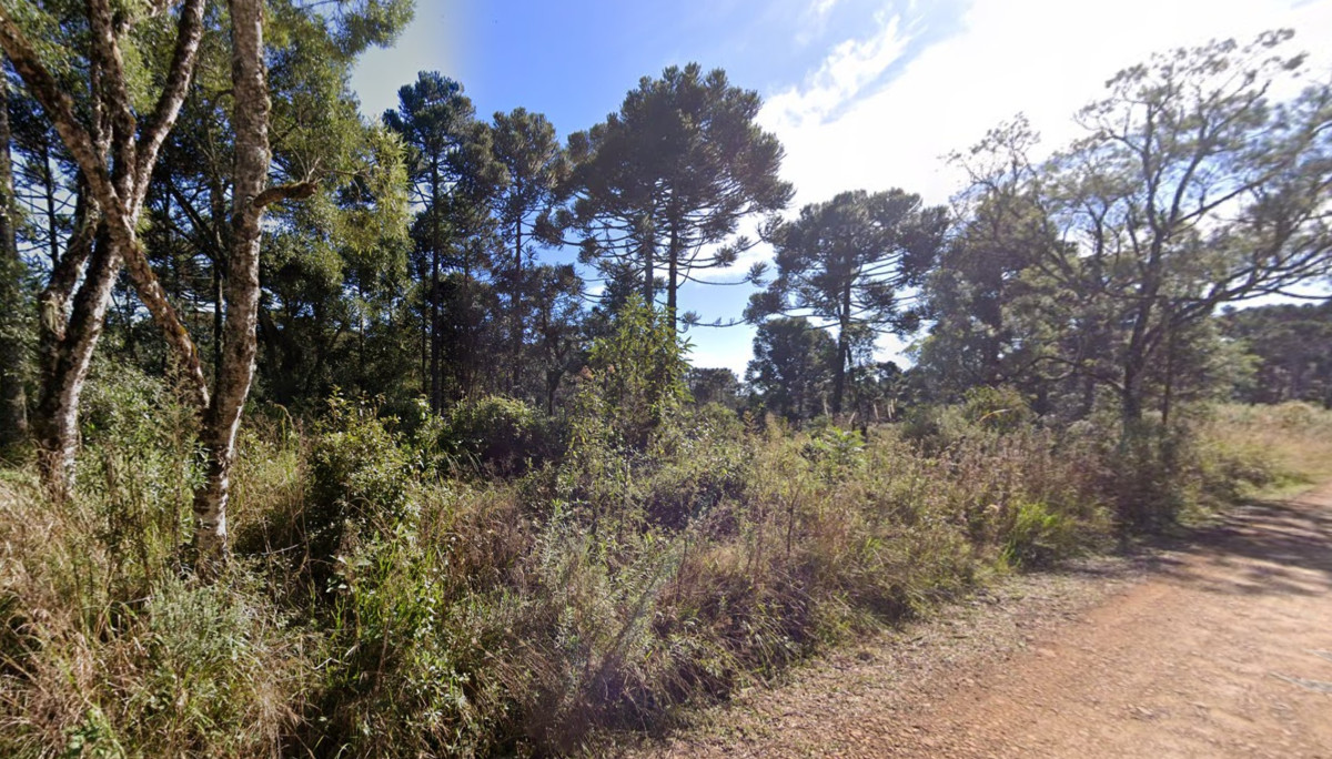 IMÓVEL RURAL NO LUGAR DENOMINADO SÃO MIGUEL, FAZENDA SÃO MANOEL, GENERAL CARNEIRO/PR — foto 3