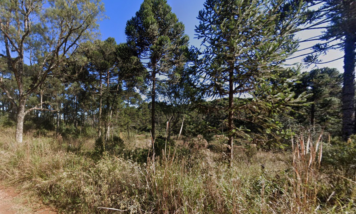 IMÓVEL RURAL NO LUGAR DENOMINADO SÃO MIGUEL, FAZENDA SÃO MANOEL, GENERAL CARNEIRO/PR — foto 4