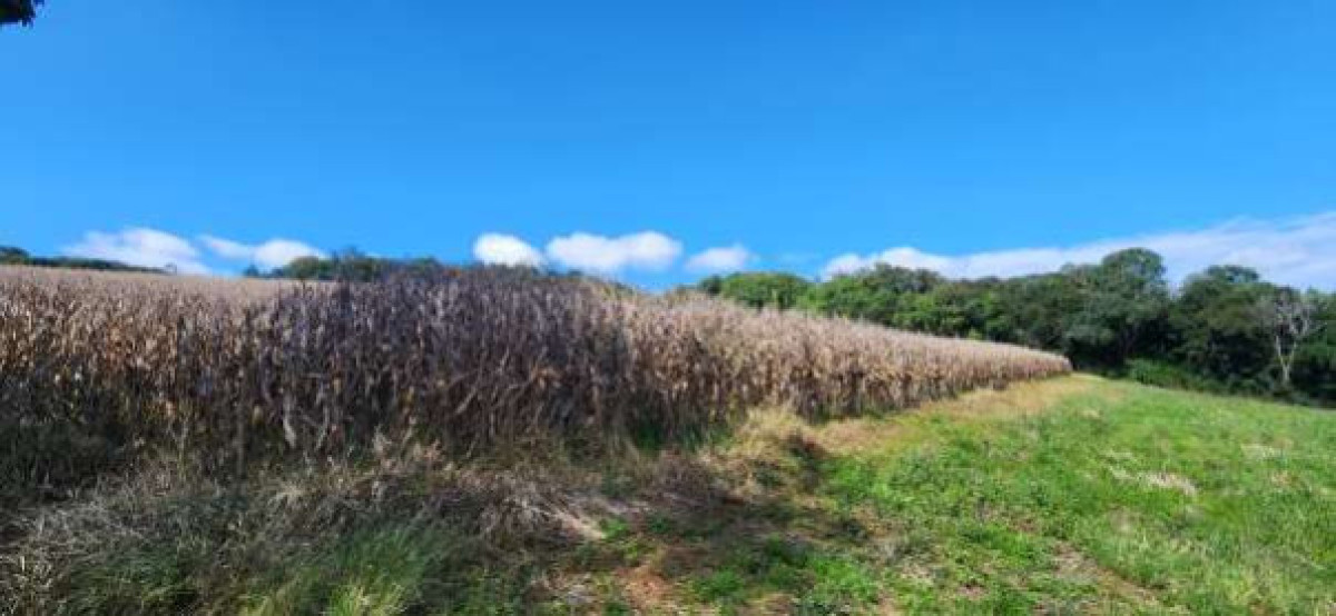 25% DO IMÓVEL NA TRAVESSA FRANCISCO LOPES DA SILVA, CAMPO LARGO — foto 2