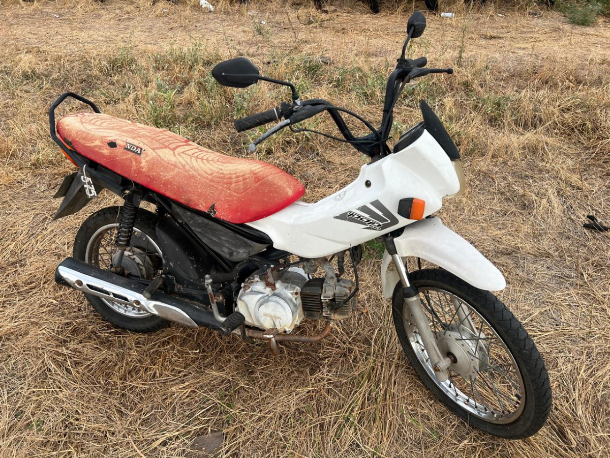 Honda/Pop100