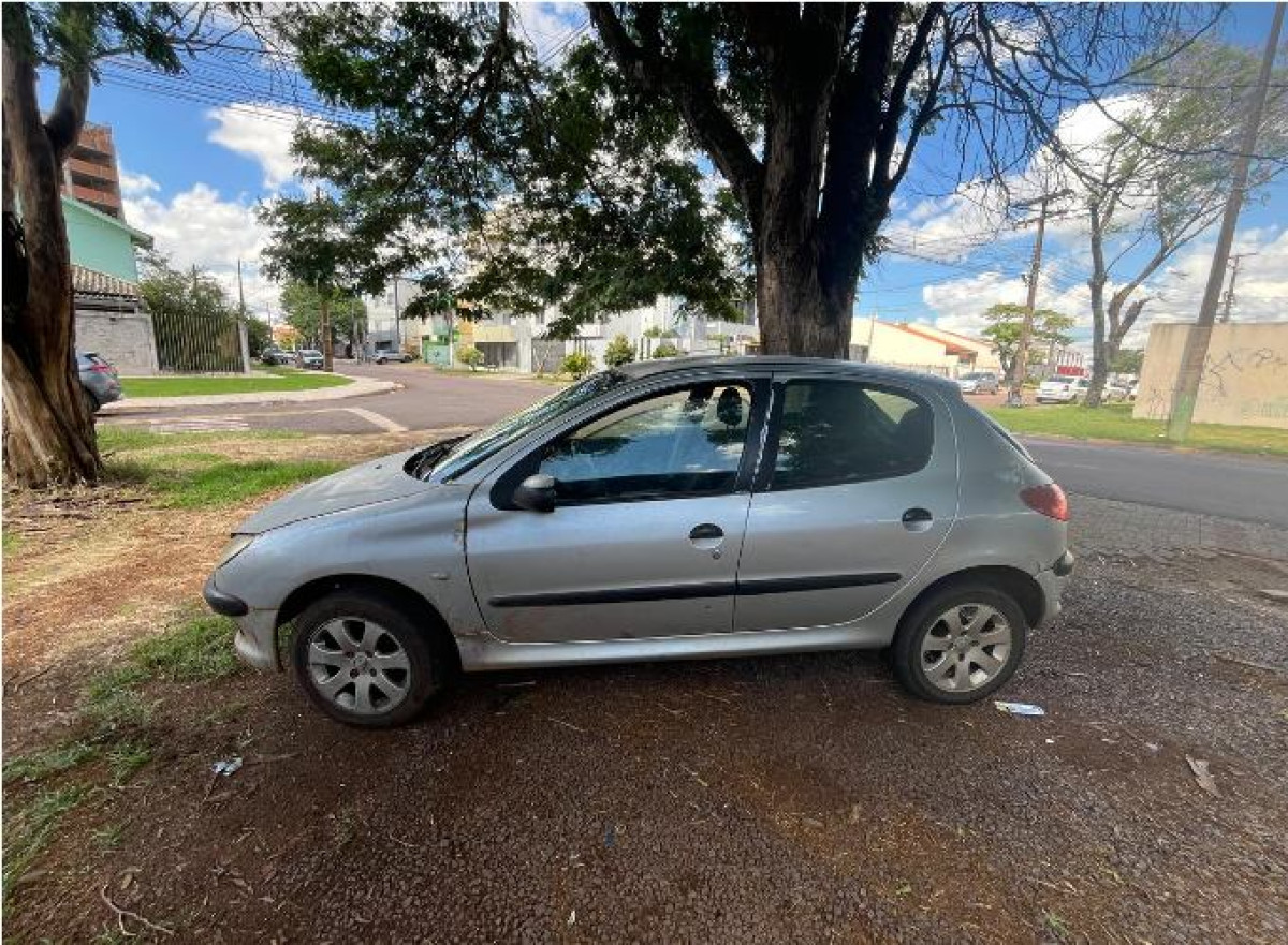 Peugeot/206 Selection - Ano 2003 - Cor Cinza — foto 2