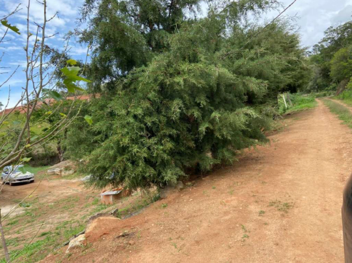 Imóvel Rural - 21.554,00m² - Itapetininga - Atibaia/SP — foto 4