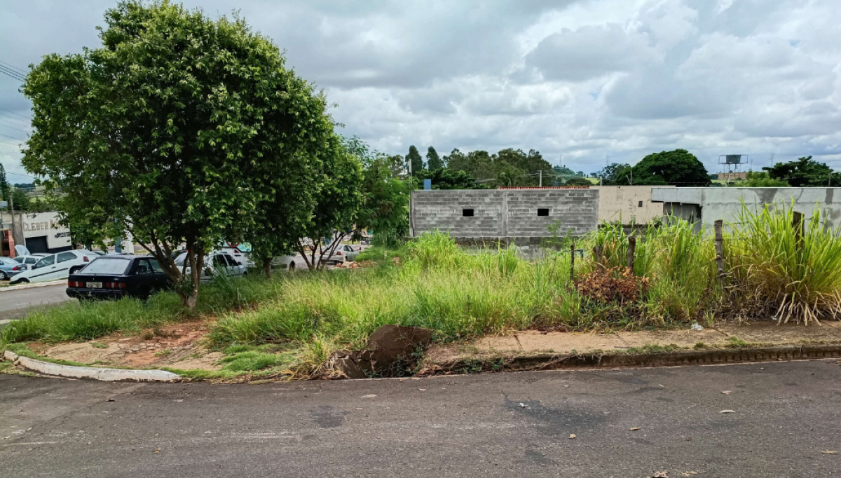 Terreno Urbano - Avenida Manoel Vicente do Carmo, 743 – Cafezal do Sul/PR — foto 3