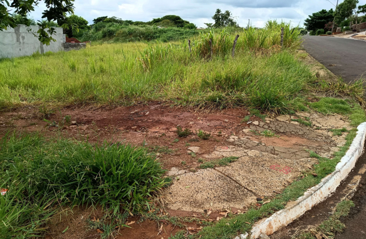 Terreno Urbano - Avenida Manoel Vicente do Carmo, 743 – Cafezal do Sul/PR — foto 4