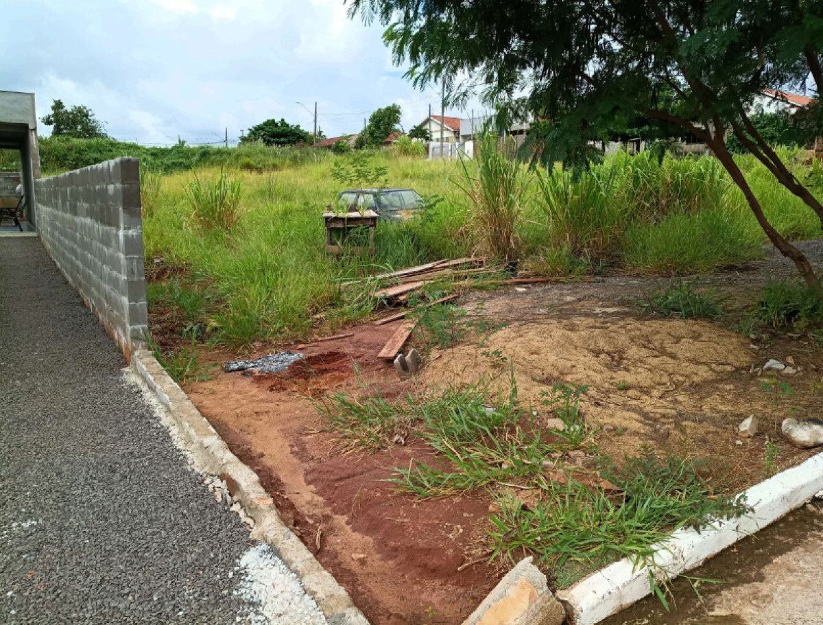 Terreno Urbano - Avenida Manoel Vicente do Carmo, 743 – Cafezal do Sul/PR — foto 1