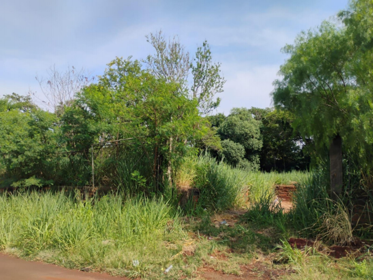 Terreno Urbano - Rua Sanhaço esquina com a Avenida Sabiá - Portal da Foz - Foz do Iguaçu/PR — foto 3