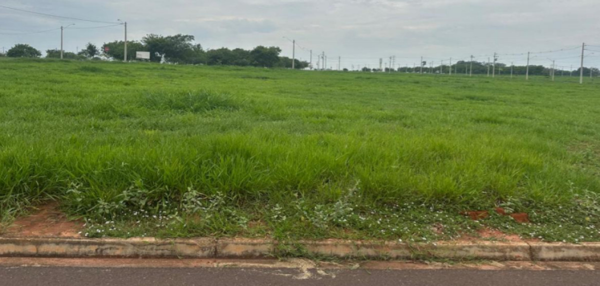 Lote 03 - Quadra 11 - Loteamento Golden Araçatuba - Alvorada - Araçatuba/SP — foto 1