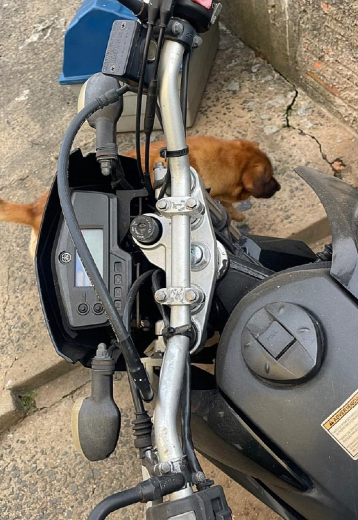 Yamaha XTZ 250X - Ano 2008 -  Cor Preta — foto 4