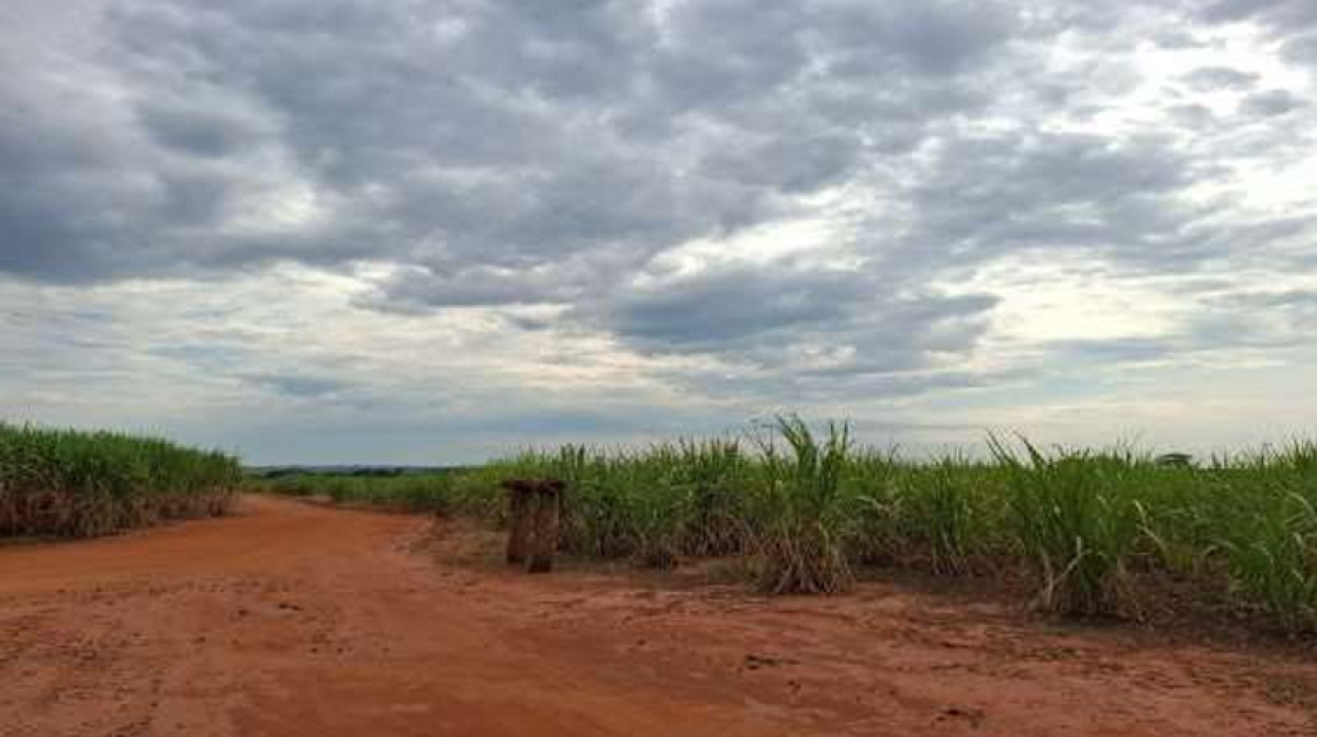 Área Rural de 14,25 Hectares - Lote nº 14 - Bairro Meia Légua - Nova Europa/SP