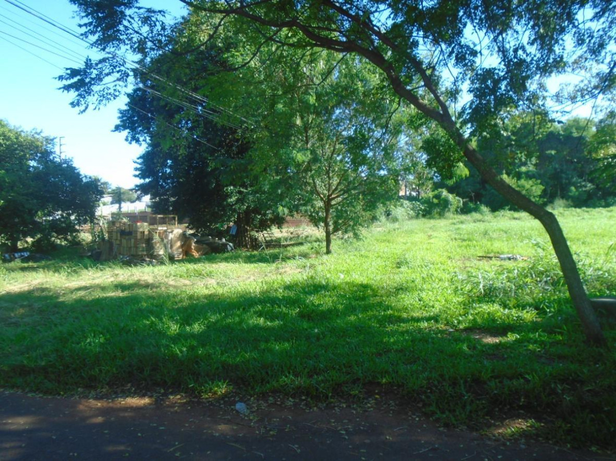 Terreno Urbano - Rua Canários, s/n - Portal da Foz - Foz do Iguaçu/PR